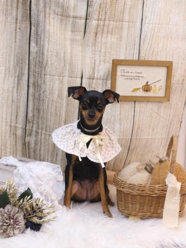 20241023神桜ちゃん